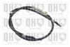 QH_BC3064.JPG