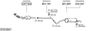 SYS10947.JPG