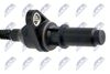ECP-KA-008_2-WM.JPG