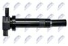 ECZ-KA-307_3-WM.JPG