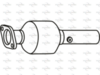 P8231CAT_1.PNG