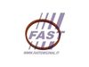 Кільце ущільнювача, трубка нагнітається повітря FAST FT48932