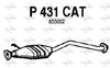 P431CAT.JPG