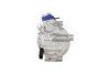 366204181_BACK_TD_1.JPG