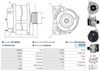A01146(SEG)_256960.JPG