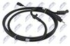 bwp-vw-017_2-wm.JPG