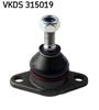 VKDS 315019.JPG