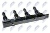 ECZ-PL-003_2-WM.JPG