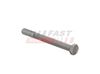 šroub ramene IVECO, M16x1,5x160mm FT20026