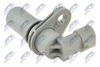 ECP-AR-002_2-WM.JPG