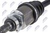 npw-ft-100_3-wm.JPG
