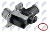 EGR-RE-007_2-WM.JPG