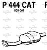 P444CAT.JPG
