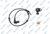 9A0911.JPG