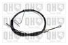 QH_BC4417.JPG