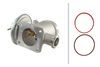 HELLA EGR Valve 6NU 010 171-691