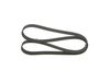 Bosch V-Ribbed Belt 1 987 946 253 (1987946253)