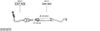 SYS13273.JPG