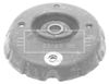 BSM5356_213173.JPG