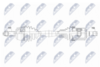 npw-ch-175_9-wm.PNG