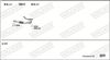 FIK005931B_5247884.JPG