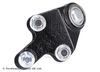 Blue Print Ball Joint ADT386204
