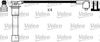 MS198.JPG