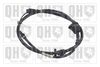 QH_BC2746.JPG