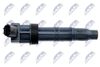 ECZ-HY-527_3-WM.JPG