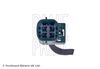 ADC47063_2.JPG