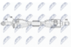 NPW-HY-555_9-WM.PNG