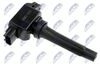 ECZ-MZ-022_2-WM.JPG