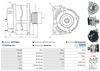 A0727(SEG)_256960.JPG