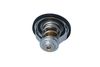 Termostat, chladivo 725140