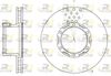 6821-10-MODEL.BMP