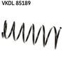 VKDL 85189.JPG