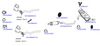 OP-EXSVG838_20260529082247.JPG