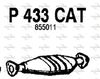 P433CAT.JPG