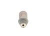 Bosch Pressure Relief Valve, common rail system 1 110 010 029