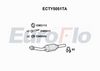 ecty5051ta.JPG