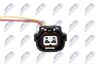BWP-AU-000_3-WM.JPG