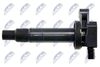 ECZ-TY-016_3-WM.JPG