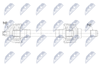 NPW-BM-241_9-WM.PNG