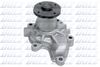 N101.BMP