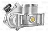 AIR_INTAKE_THROTTLE_700432_04.JPG