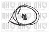 QH_QTC5003.JPG
