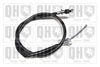 QH_BC3467.JPG