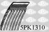 5PK1310.JPG