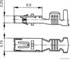 50253233_TZ.JPG