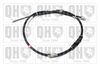 QH_BC3721.JPG